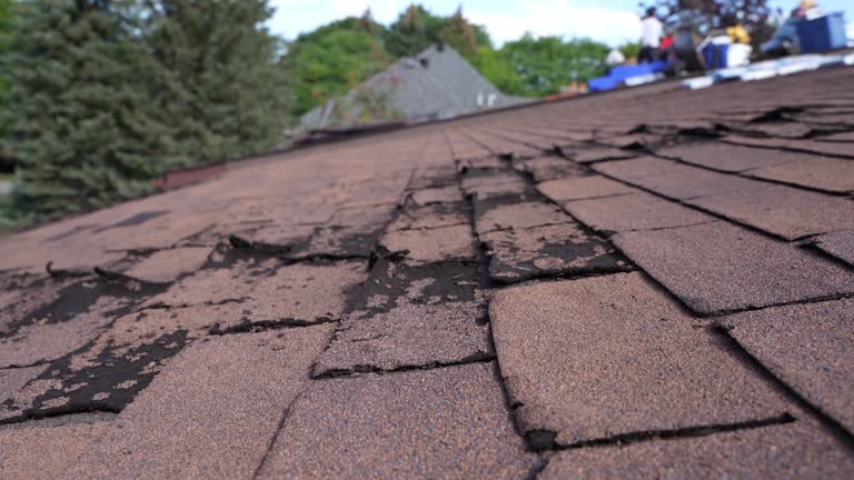 Best Storm Damage Roof Repair  in Valley View, OH
